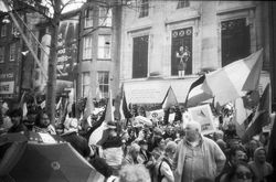 A cover image for the collection Palestine Protest