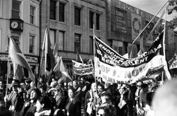 A cover image for the collection Counterprotest 11/10/25