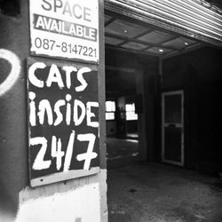 A cover image for the collection Cats Inside