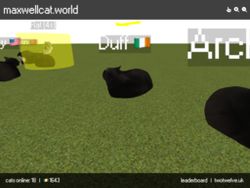 A screenshot of Maxwellcat.world