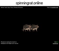 A screenshot of Spinningrat.Online